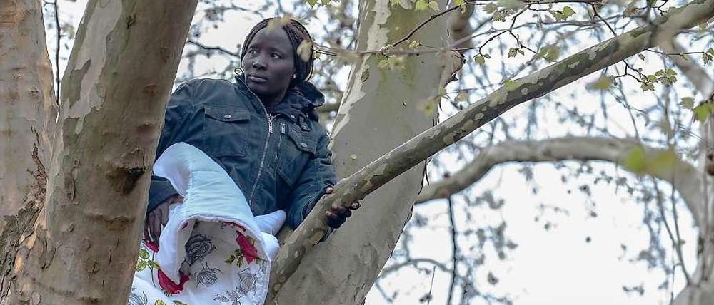 Der Hungerstreik in der Baumkrone zehrt an den Kräften von Napuli Langa.