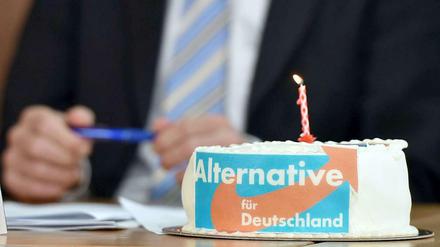 Der Geburtstagskuchen zu einem Jahr AfD. Im Hintergrund Parteichef Bernd Lucke