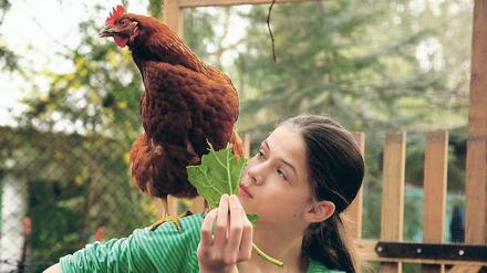 Mein Freund, das Huhn. Lena Stollwerck mit Henne Berta. Anfangs war Berta eher scheu, jetzt ist sie ein Schmusehuhn. 
