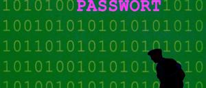 Datendiebe am Werk. Nach dem jüngsten Datenklau von 18 Millionen Mail-Adressen samt Passwörtern geht das Bundesamt für Sicherheit in der Informationstechnik davon aus, dass die großen Provider alle Betroffenen bis zum Montagabend informiert haben werden.
