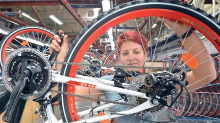 In Sorge. Die rund 770 Mitarbeiter des mehr als 100 Jahre alten Unternehmens bangen um ihre Jobs. 