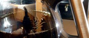 Besonders die Warmhaltefunktion vieler Kaffeemaschinen ist der EU ein Dorn im Auge.