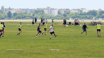 Hier könnte Ihr Obstbaum stehen. Das Tempelhofer Feld ist noch eine Wiese. Foto: Imago