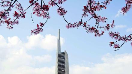 Volle Blüte? Der Baum über dem Turm der Schöneberger Paul-Gerhardt-Kirche schafft frühlingshafte Stimmung. Doch die Protestanten verlieren weiter Mitglieder.