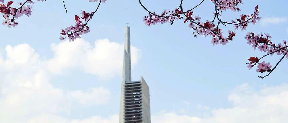 Volle Blüte? Der Baum über dem Turm der Schöneberger Paul-Gerhardt-Kirche schafft frühlingshafte Stimmung. Doch die Protestanten verlieren weiter Mitglieder.