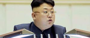 Nordkoreas Diktator Kim Jong Un.