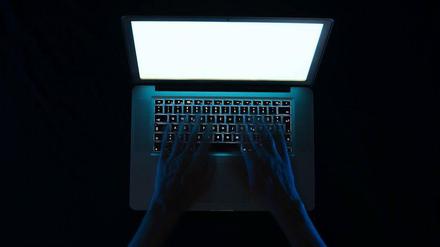 Hat die NSA die Heartbleed-Lücke ausgenutzt?