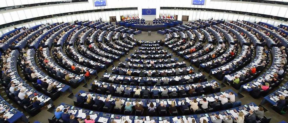 Das Europa-Parlament wird seit 1979 alle fünf Jahre gewählt.