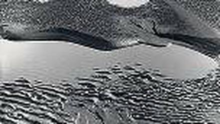 Licht im Schatten: Alfred Ehrhardts „Landschaft am Rande des Wattenmeers“ (1933-1936).