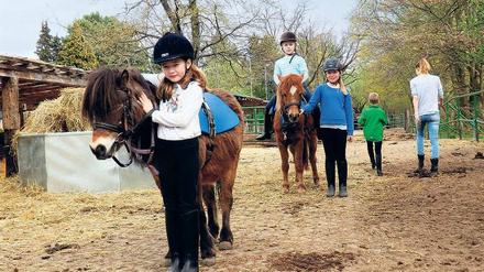 Wer führt hier wen? Bert (vorne) wartet auf seine Reiterin, die noch ihren Helm suchen muss, Elisa hält ihn fest. Püppi (hi.), Star der Reit-AG-Ponys, ist mit Team Charly (oben) und Emma startklar.