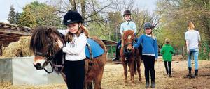 Wer führt hier wen? Bert (vorne) wartet auf seine Reiterin, die noch ihren Helm suchen muss, Elisa hält ihn fest. Püppi (hi.), Star der Reit-AG-Ponys, ist mit Team Charly (oben) und Emma startklar. 