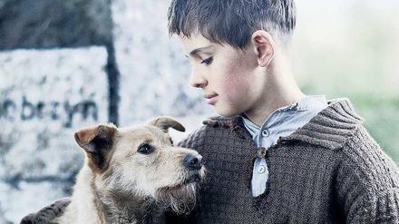 Gemeinsam. Jurek (Andrzej Tkacz) und ein entlaufener Hund.