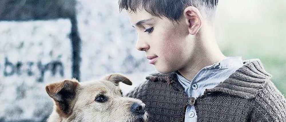 Gemeinsam. Jurek (Andrzej Tkacz) und ein entlaufener Hund.