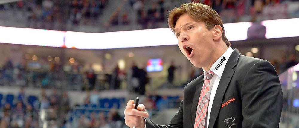 Der große Mann des deutschen Eishockeys. Als erster deutscher Spieler hat Uwe Krupp in der nordamerikanischen Profiliga NHL den Titel gewonnen, als Trainer könnte er nun die Kölner Haie erstmals seit 2002 wieder zum nationalen Titel führen.