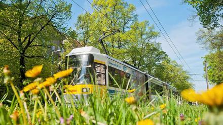 Eine Tram der Berliner Verkehrsbetriebe.