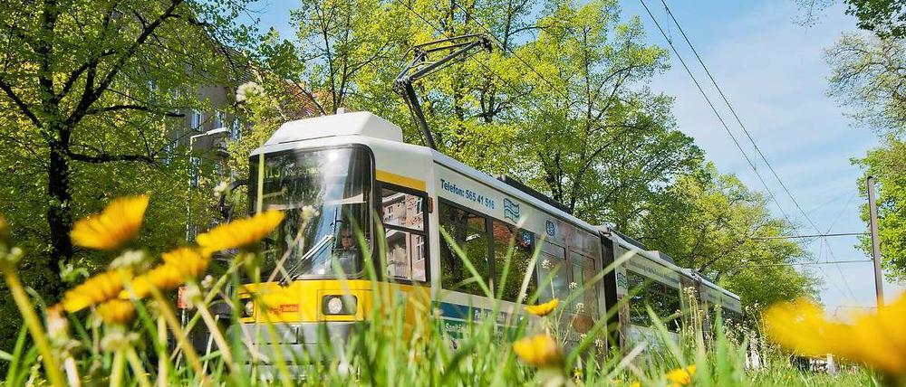 Eine Tram der Berliner Verkehrsbetriebe.