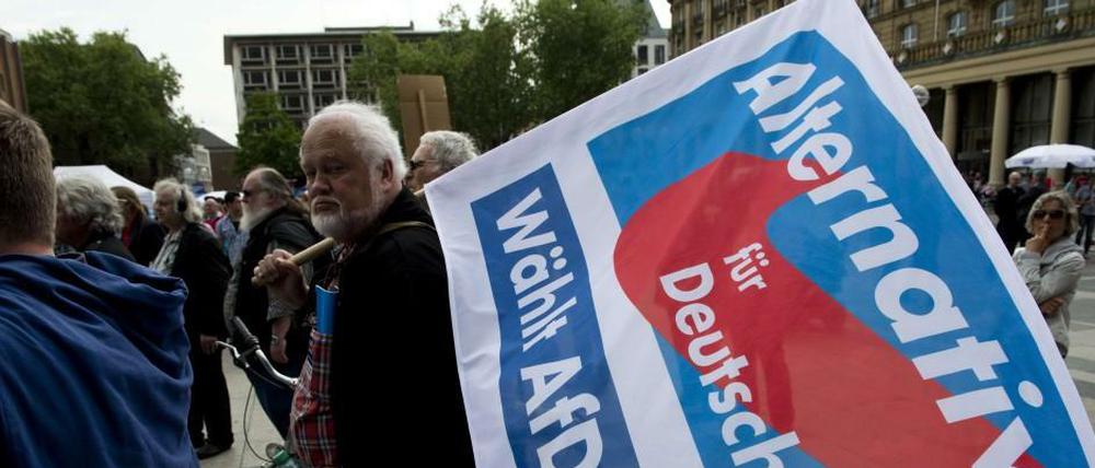 AfD-Demo vor dem Kölner Dom.