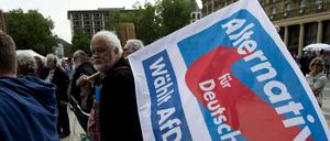 AfD-Demo vor dem Kölner Dom.