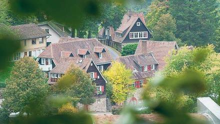 Trügerische Idylle. Nachdem ein Lehrer wegen Kinderporno-Verdachts suspendiert wurde, steht das enge Miteinander an der Odenwaldschule wieder grundsätzlich auf dem Prüfstand.