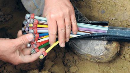 Volles Rohr. 1500 Kilometer Glasfaserkabel sollen der lahmen Digi-Ente Brandenburg Beine machen. Dass dies auf die Schnelle gelingt, halten Fachleute für zweifelhaft. 
