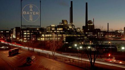 Ein Kreuz. Bayer, hier das Stammwerk in Leverkusen, ist gut ins neue Jahr gestartet. 