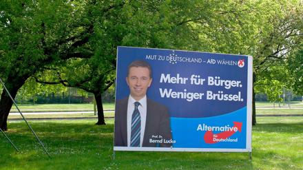 Die AfD ist anscheinend eine ernsthafte Alternative für Europaskeptiker. 