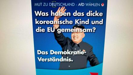 Mit diesem Online-Motiv sorgte die AfD Wolfsburg für Aufmerksamkeit.