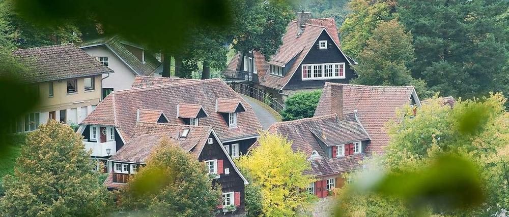Die hessische Odenwaldschule ist ein Problemfall.