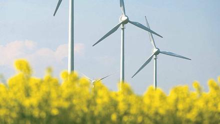 Kerngeschäft: Prokon plante und verwaltete vor allem Windparks. Das soll die Firma weiter tun. Eigene Windanlagen baut das Unternehmen künftig nicht mehr.