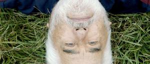 Mit Leib und Seele: Mario Adorf als Schwartz-Teitelbaum.
