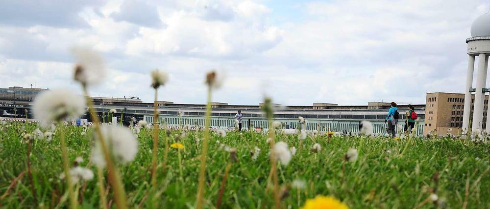 Nicht alle Bürger, die das Tempelhofer Feld nutzen, dürfen auch über seine Zukunft abstimmen. 