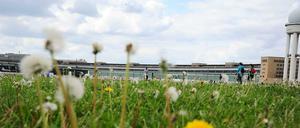Nicht alle Bürger, die das Tempelhofer Feld nutzen, dürfen auch über seine Zukunft abstimmen. 