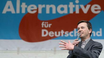 Eurokritiker und AfD-Chef Bernd Lucke.