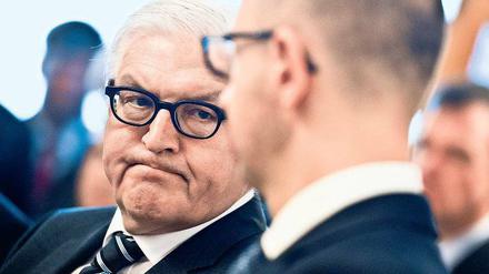 Ratlos? Bundesaußenminister Frank-Walter Steinmeier (links) und der ukrainische Ministerpräsident Arseni Jazenjuk in Kiew.