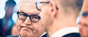 Ratlos? Bundesaußenminister Frank-Walter Steinmeier (links) und der ukrainische Ministerpräsident Arseni Jazenjuk in Kiew.