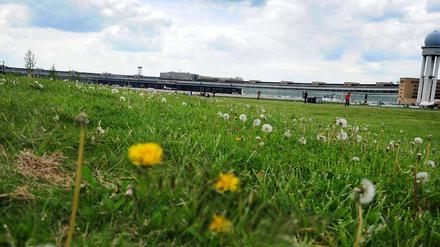 Unendliche Weiten. Kann da nicht ein Stückchen weg? Ums Tempelhofer Feld in Berlin wird heftig gestritten. 