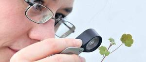 Zartes Pflänzchen. Hochschulen sollen Konzepte für die berufliche Qualifizierung ihrer Doktoranden vorlegen.