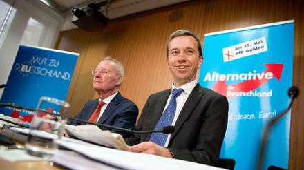 Bernd Lucke, Chef der Alternative für Deutschland.