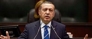 Regierungschef Recep Tayyip Erdogan kann in der Türkei nach Belieben schalten und walten.