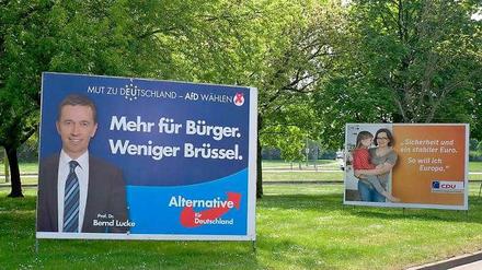 Sechs bis sieben Prozent trauen Wahlforscher der AfD derzeit zu.