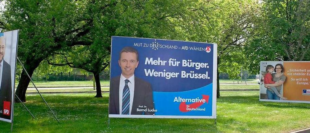 Sechs bis sieben Prozent trauen Wahlforscher der AfD derzeit zu.