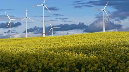 Wie fern von Wohnungen sollen Windräder stehen?