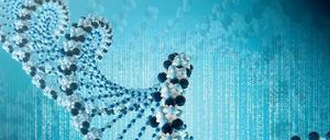 Foto: Fotolia/beawolf