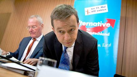 AfD-Spitze: Hans-Olaf Henkel (links) und Bernd Lucke.