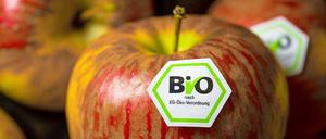 Bestseller: Aus ökologischer Landwirtschaft sind vor allem Obst, Gemüse und Eier gefragt.