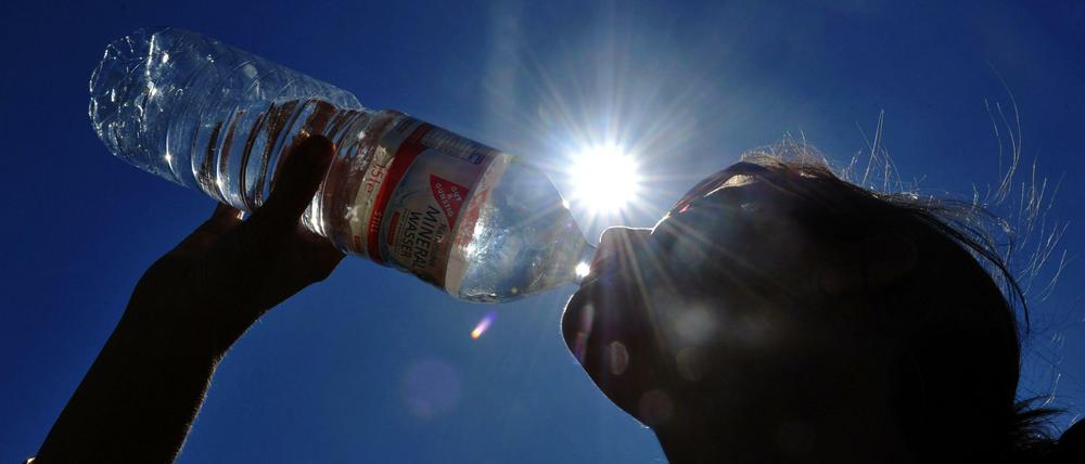Immer der Nase nach. Es wird heiß in der Stadt, das bedeutet: viel trinken! Vor allem Gräserpollen können Probleme bereiten – ebenso wie Nacktschnecken. 