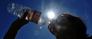 Immer der Nase nach. Es wird heiß in der Stadt, das bedeutet: viel trinken! Vor allem Gräserpollen können Probleme bereiten – ebenso wie Nacktschnecken. 