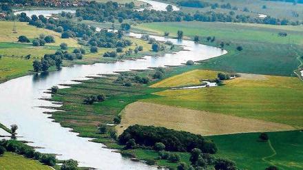 Die Elbe bei Wittenberg. Ein Blick von oben zeigt, wie sehr der Fluss für die Schifffahrt verbaut worden ist. Das soll sich ändern. 