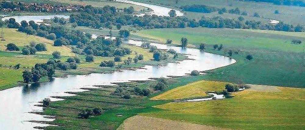 Die Elbe bei Wittenberg. Ein Blick von oben zeigt, wie sehr der Fluss für die Schifffahrt verbaut worden ist. Das soll sich ändern. 