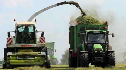 Grasernte. Besonders die späten Schnitte eines Jahres werden häufig für die Produktion von Biogas genutzt.